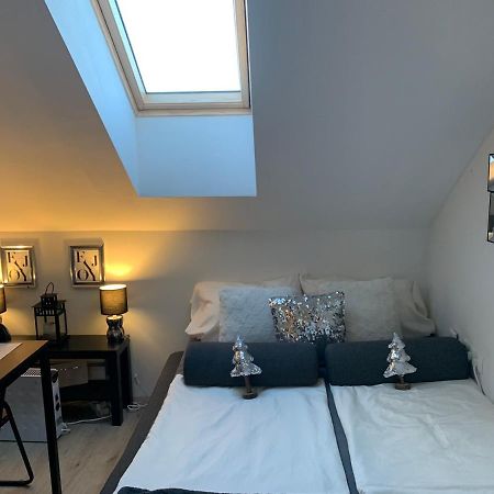 Apartment Mansarda Марибор Екстериор снимка