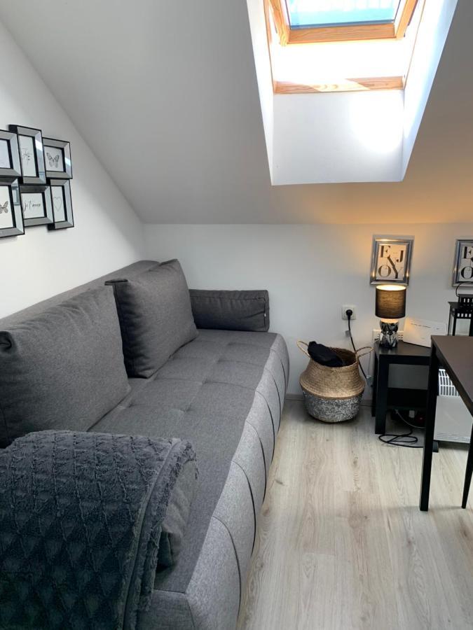 Apartment Mansarda Марибор Екстериор снимка