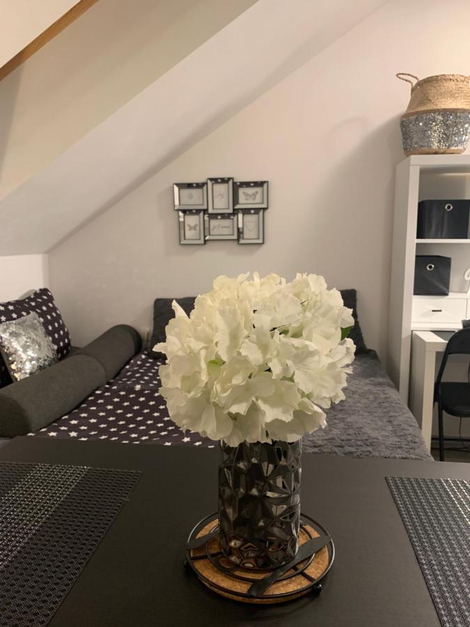 Apartment Mansarda Марибор Екстериор снимка