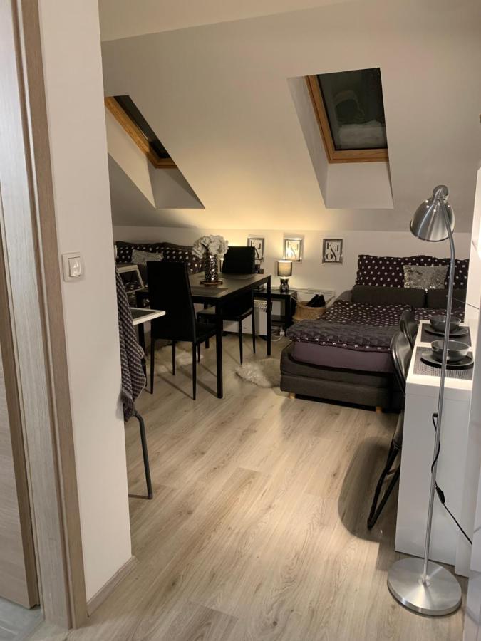 Apartment Mansarda Марибор Екстериор снимка