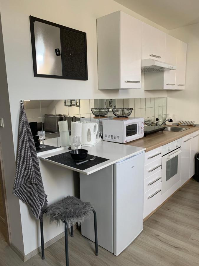 Apartment Mansarda Марибор Екстериор снимка