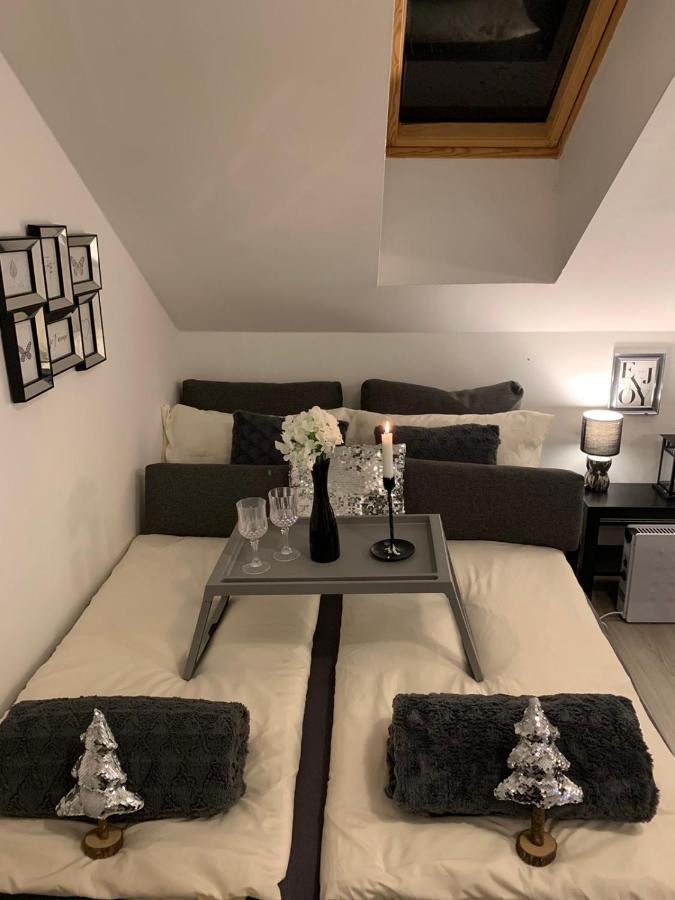 Apartment Mansarda Марибор Екстериор снимка
