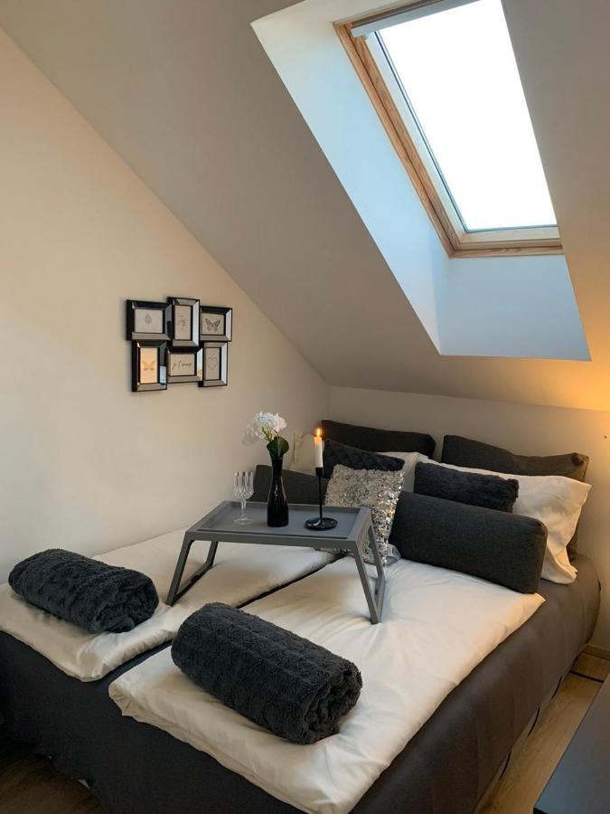 Apartment Mansarda Марибор Екстериор снимка