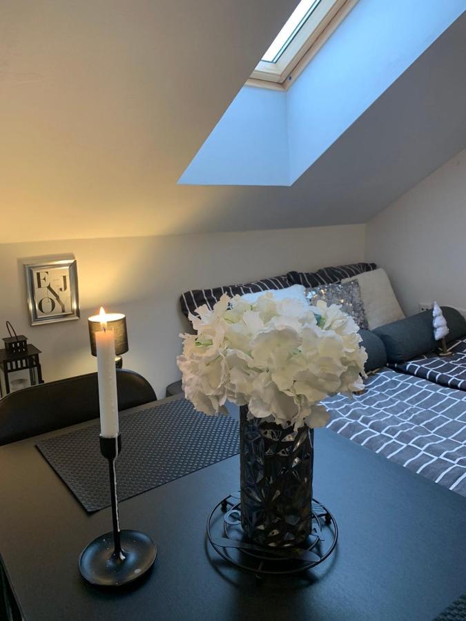 Apartment Mansarda Марибор Екстериор снимка