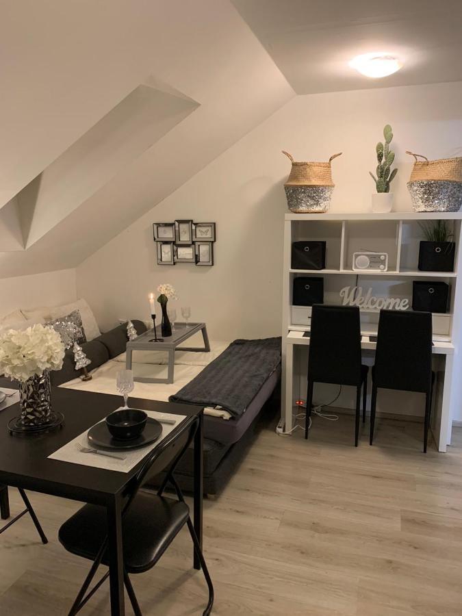 Apartment Mansarda Марибор Екстериор снимка