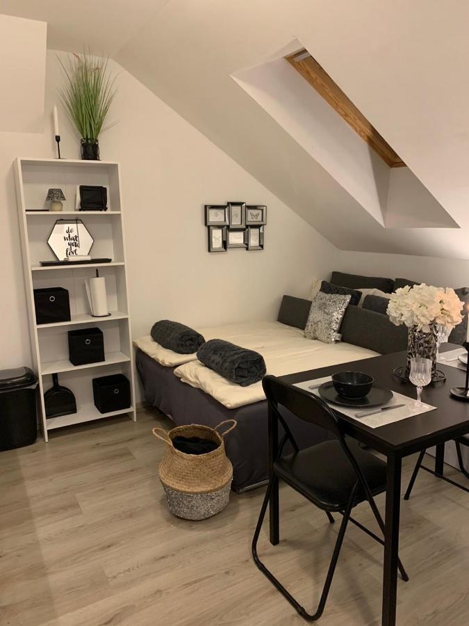 Apartment Mansarda Марибор Екстериор снимка