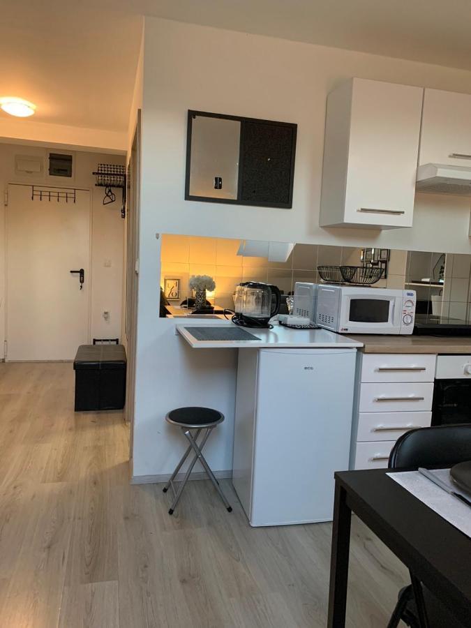 Apartment Mansarda Марибор Екстериор снимка