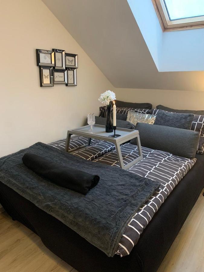 Apartment Mansarda Марибор Екстериор снимка