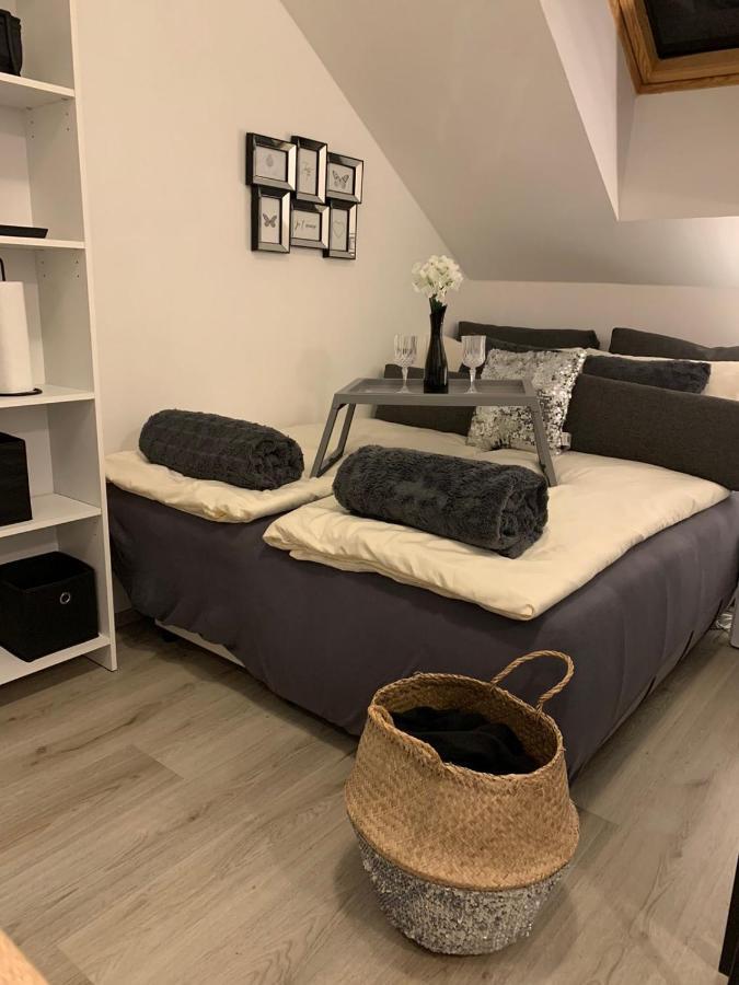 Apartment Mansarda Марибор Екстериор снимка