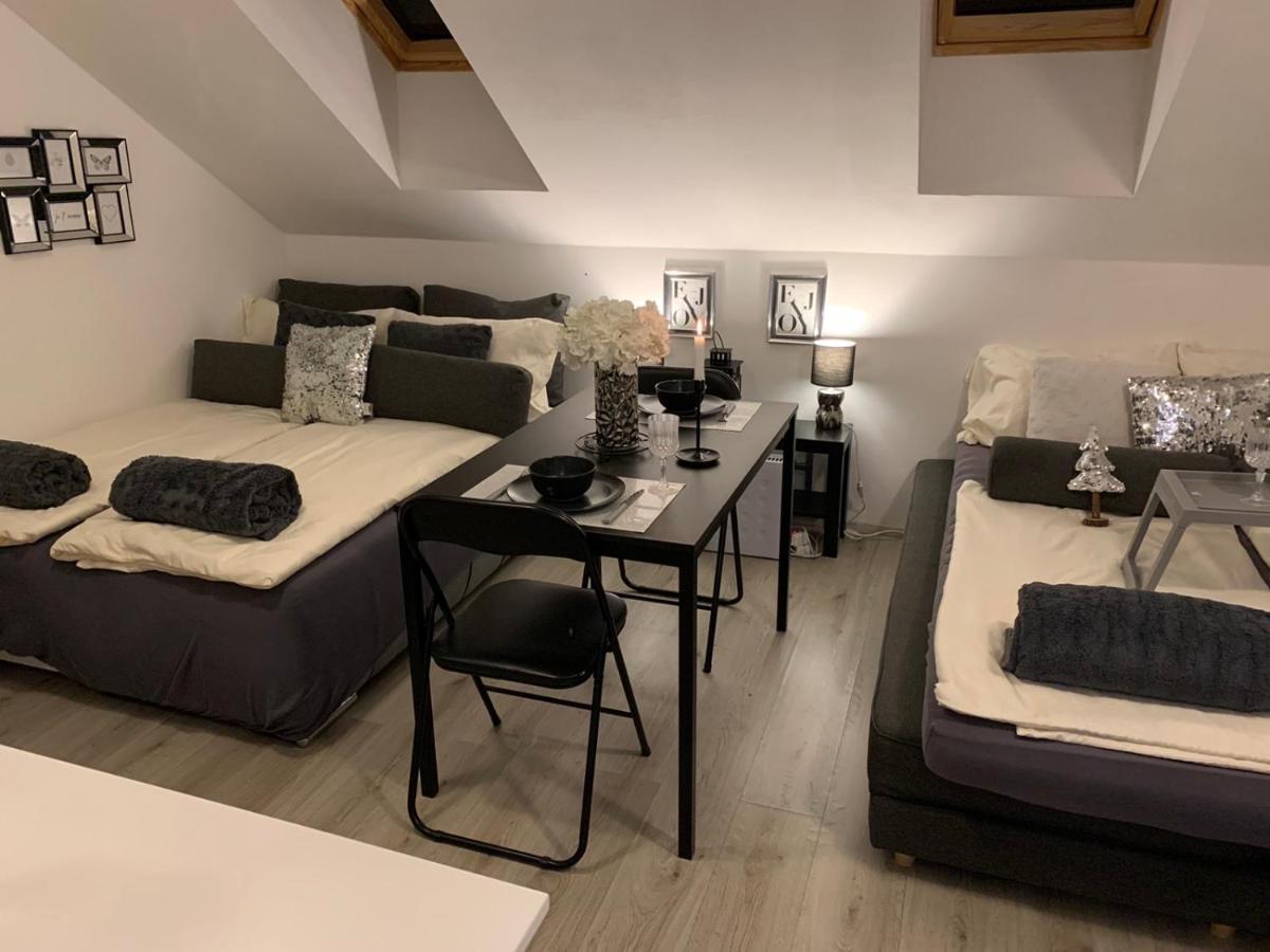 Apartment Mansarda Марибор Екстериор снимка